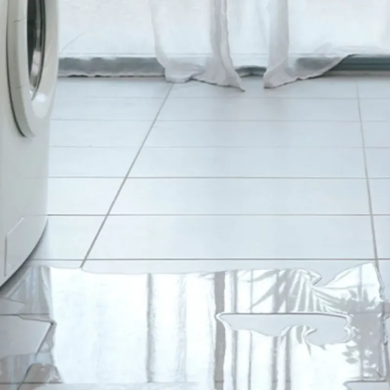 Appliance Leak Cleanup in Gasport, NY